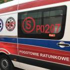 Fotka nr 2 z 4