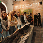 zdjęcie nr 15