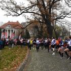 zdjęcie nr 21