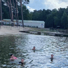 zdjęcie nr 53