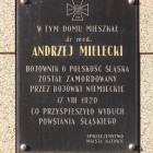 zdjęcie nr 14