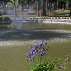 zdjęcie nr 74