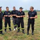 zdjęcie nr 31