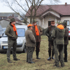 zdjęcie nr 12