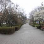 zdjęcie nr 36