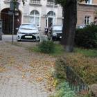 zdjęcie nr 36
