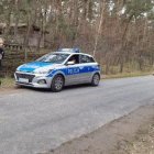 zdjęcie nr 17