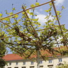 Fotka nr 3 z 89