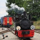 zdjęcie nr 37