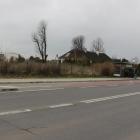 Fotka nr 5 z 8