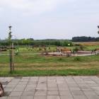 zdjęcie nr 38