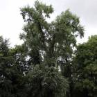 zdjęcie nr 31