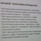 zdjęcie nr 11