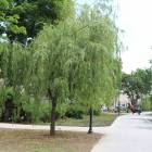 zdjęcie nr 88