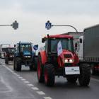 zdjęcie nr 80