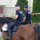 Fotka nr 1 z 173
