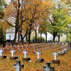 zdjęcie nr 8