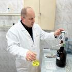 zdjęcie nr 11