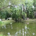zdjęcie nr 98