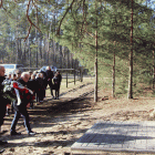 zdjęcie nr 43