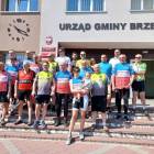zdjęcie nr 10