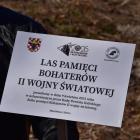 Fotka nr 0 z 25