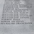 zdjęcie nr 11