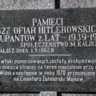 zdjęcie nr 10