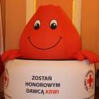 zdjęcie nr 23