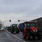 zdjęcie nr 75