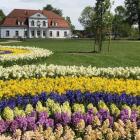 zdjęcie nr 73