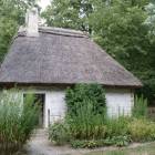 zdjęcie nr 65
