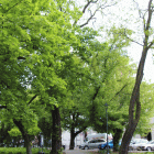 zdjęcie nr 52