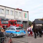 zdjęcie nr 42