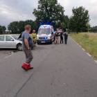 Fotka nr 2 z 11