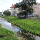 zdjęcie nr 11