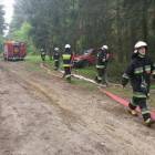 Fotka nr 2 z 13