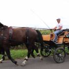 zdjęcie nr 93