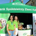 zdjęcie nr 133