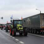 Fotka nr 1 z 4
