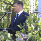 zdjęcie nr 99