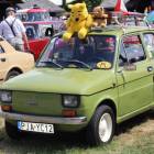 zdjęcie nr 52