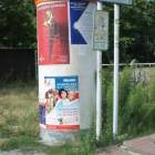 Fotka nr 5 z 8