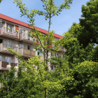 zdjęcie nr 64