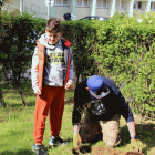 zdjęcie nr 34