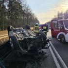 Fotka nr 5 z 6