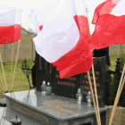 zdjęcie nr 119