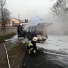 Fotka nr 2 z 4