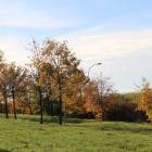 zdjęcie nr 7