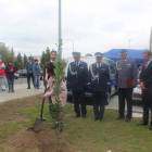 zdjęcie nr 70